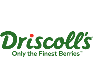 driscoll